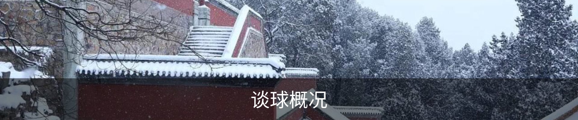 谈球概况